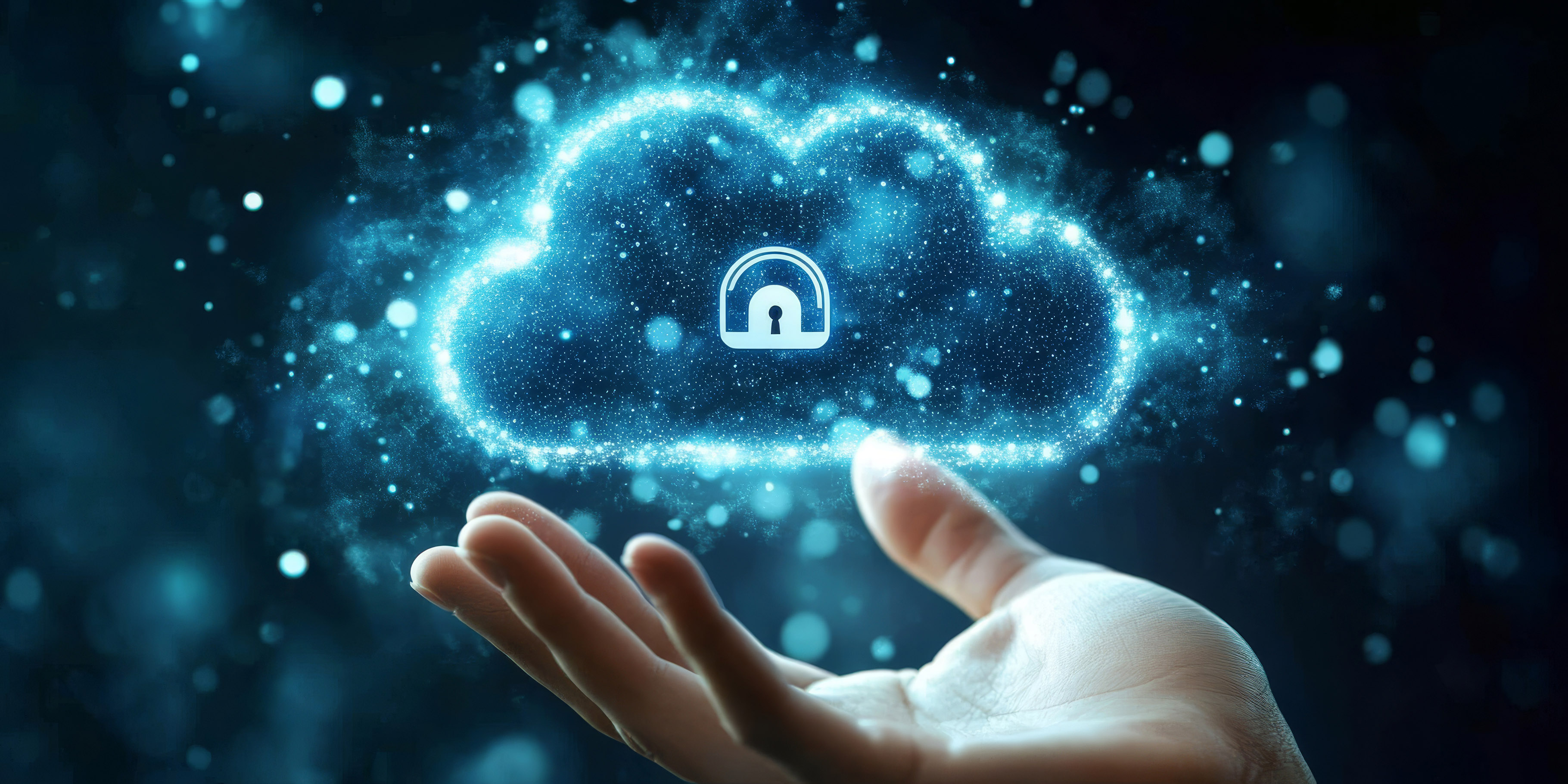 Secure network visualization with shields and connections